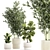 Modern Plant Collection Set 1451 3D model small image 1