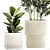 Modern Plant Collection Set 1451 3D model small image 5