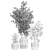Modern Plant Collection Set 1451 3D model small image 7