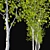 Himalayan Birch Tree Set 3D model small image 2