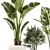 Exotic Plant Collection 1452 3D model small image 4