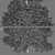 Realistic Green Fir Tree 1650mm 3D model small image 4