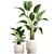 Tropical Plant Collection 1454 3D model small image 4