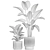 Tropical Plant Collection 1454 3D model small image 7