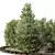 Outdoor HQ Tree Bush Garden Box VOL40 3D model small image 3