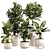 Exquisite Indoor Greenery Set 024 3D model small image 1