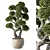 Zen Bonsai Indoor Plant Set 3D model small image 1