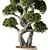 Zen Bonsai Indoor Plant Set 3D model small image 2