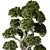 Zen Bonsai Indoor Plant Set 3D model small image 3