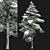 Scots Pine Winter 3D Model 3D model small image 2