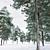 Scots Pine Winter 3D Model 3D model small image 4