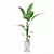 Modern Strelitzia Plant in Pot 3D model small image 4