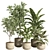 Urban Oasis Plant Set 3D model small image 1