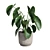 Tropical Trio 3D Potted Plants 3D model small image 5