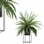 Modern Fern in Decorative Pot 3D model small image 1