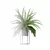 Modern Fern in Decorative Pot 3D model small image 6