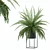 Modern Fern in Decorative Pot 3D model small image 7