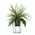 Modern Fern in Decorative Pot 3D model small image 10