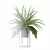 Modern Fern in Decorative Pot 3D model small image 12