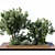 Nature-Inspired Plant Set Elevation 3D model small image 2