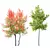 Hybrid Freeman Maple Tree Set 3D model small image 1