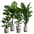 Exotic Indoor Plants Collection Pack 3D model small image 1