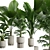 Exotic Indoor Plants Collection Pack 3D model small image 2