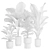 Exotic Indoor Plants Collection Pack 3D model small image 3