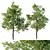 Premium Ash Trees Bundle 3D model small image 1