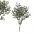 Majestic Olive Tree Sculpture 3D model small image 4