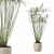 Modern Cyperus Papyrus Plant Pot 3D model small image 1