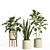 Potted Indoor Plant Set 66 3D model small image 3