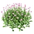 Vibrant 3D Daisy Flower Bush 3D model small image 4