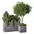 Nature-Inspired Plant Set Ensemble 3D model small image 1