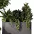 Nature-Inspired Plant Set Ensemble 3D model small image 2