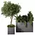 Nature-Inspired Plant Set Ensemble 3D model small image 4