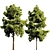 Deluxe Rendering Bush Tree 3D model small image 1