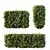 Golden Privet Box Hedge Set 3D model small image 1