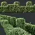 Golden Privet Box Hedge Set 3D model small image 2