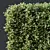 Golden Privet Box Hedge Set 3D model small image 3