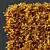 Golden Privet Box Hedge Set 3D model small image 4