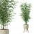  Modern Bamboo Plant in Pot 3D model small image 1