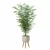  Modern Bamboo Plant in Pot 3D model small image 4