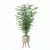  Modern Bamboo Plant in Pot 3D model small image 6