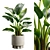 Tropical Strelitzia Houseplant Decor 3D model small image 1