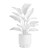 Tropical Strelitzia Houseplant Decor 3D model small image 3