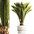 Exotic Phoenix Palm Set 3D model small image 1