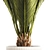 Exotic Phoenix Palm Set 3D model small image 3