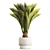 Exotic Phoenix Palm Set 3D model small image 6