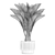 Exotic Phoenix Palm Set 3D model small image 7